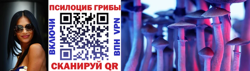 Псилоцибиновые грибы Cubensis  Дубовка 